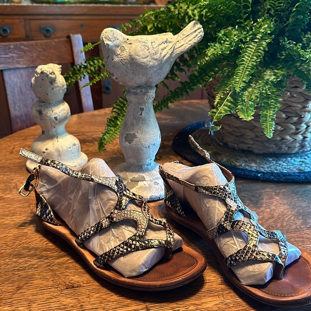 Gentle Souls ‘Upon a Star’ Snake Print Leather Gladiator woman’s sandal 7M